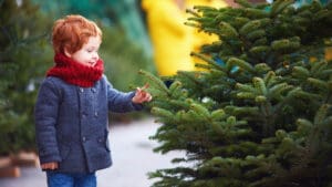 Sapin de Noël naturel